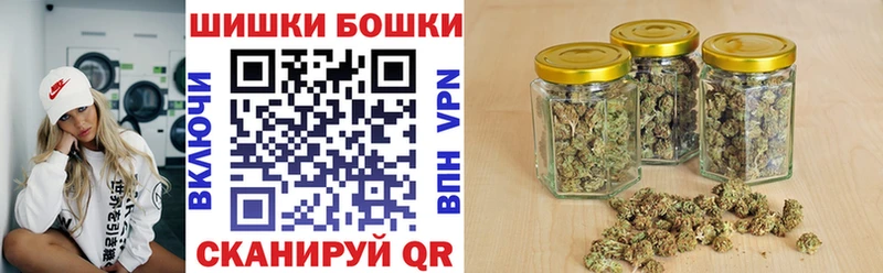 APVP Сураж