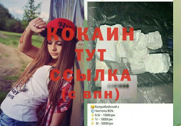 сатива Магас