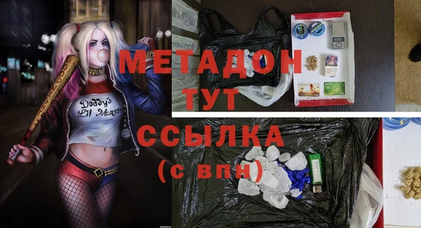 сатива Магас