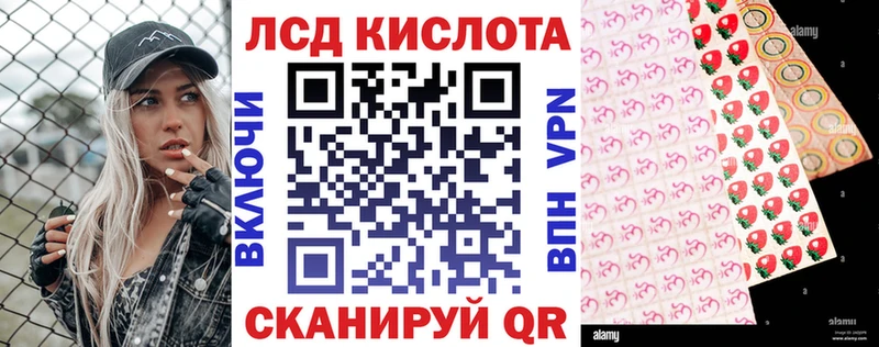 Марки N-bome 1,8мг  Сураж 